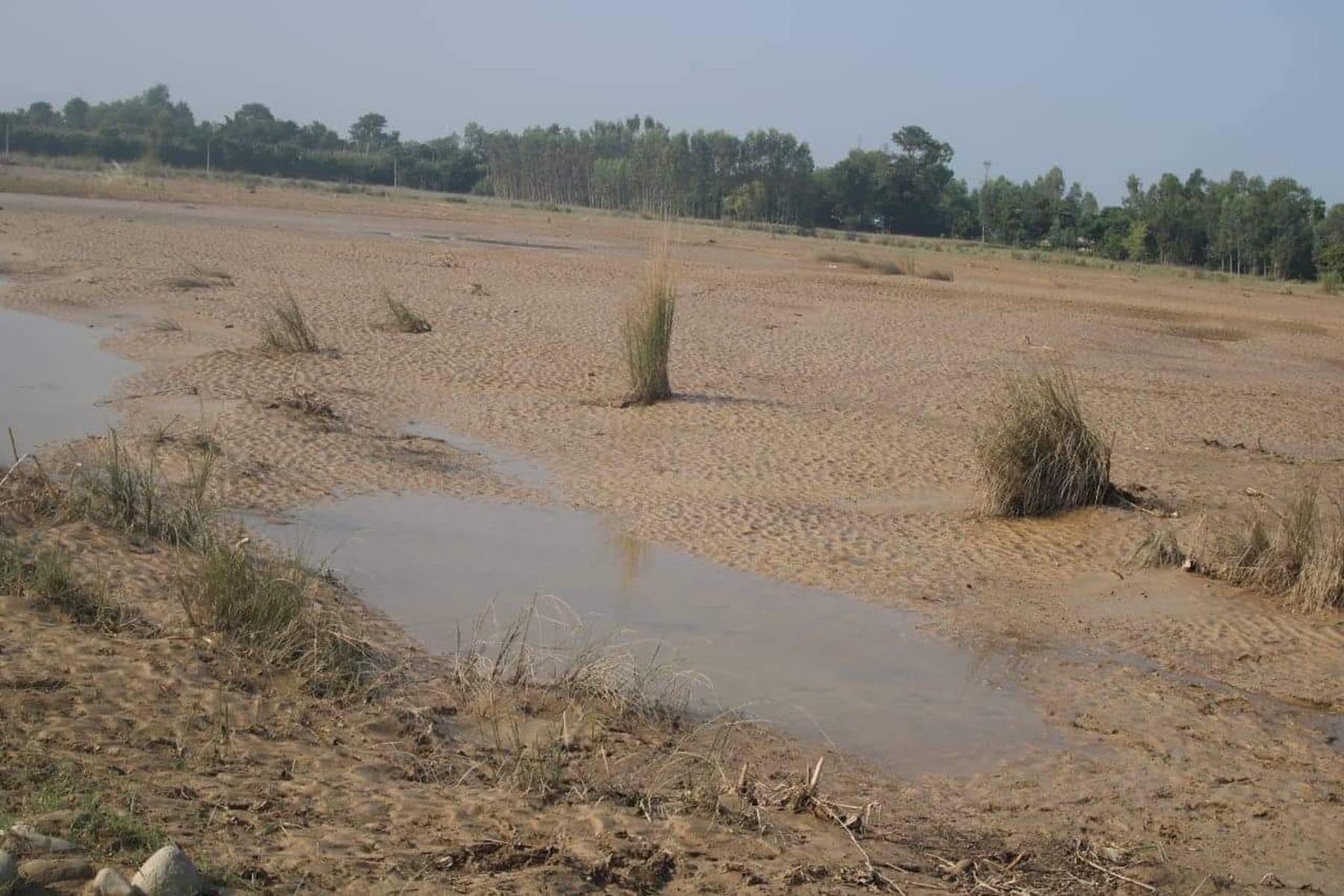 कैलाली बाढीः ‘किन खेती लगाइएछ जस्तै लागेको छ’