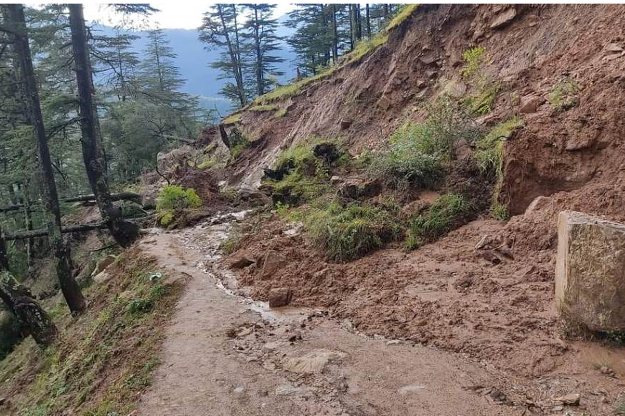 पहिरो पन्छाउन स्थानीय सरकार र सुरक्षा निकायको सक्रियता