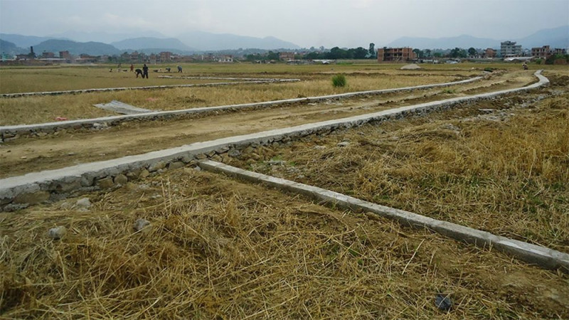 घरजग्गाको कारोबार ओरोलो लाग्दा राजस्व सङ्कलन घट्यो