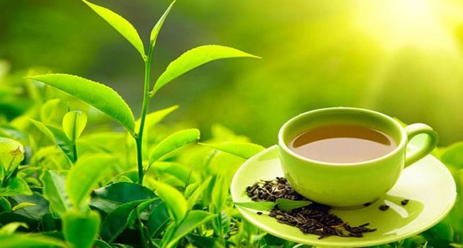 चिया पनि ‘चक्लेटी’ स्वादमा