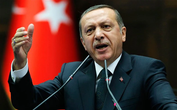 Türkiye keen to push for Russia-Ukraine peace talks