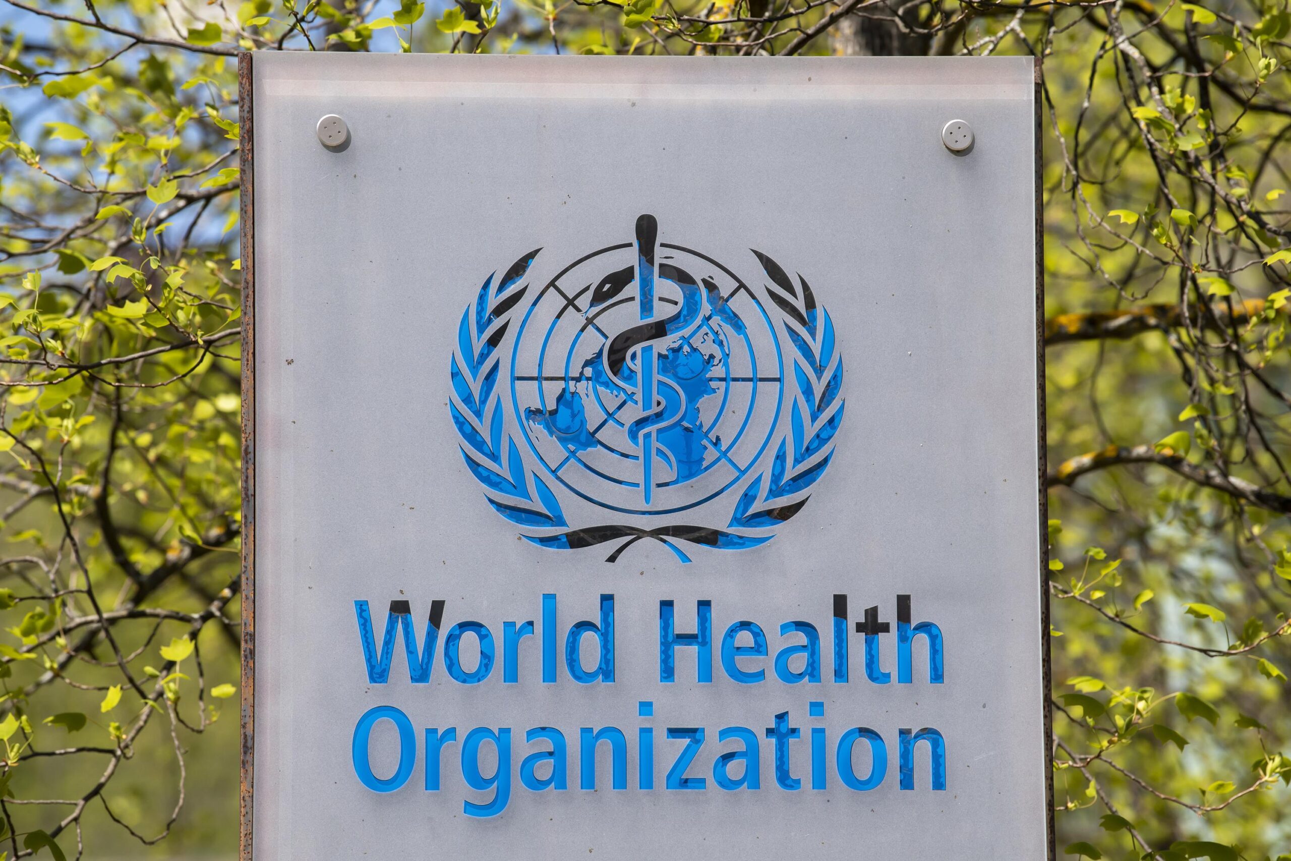 Cholera kills over 1,200 in Malawi: WHO