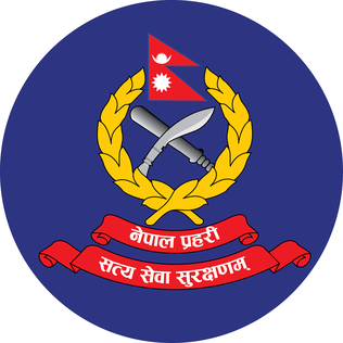 डिआइजी सिंहद्वारा पदबाट राजीनामा